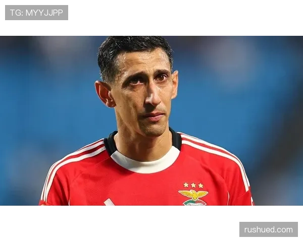 帕尔默与迪马利亚左脚技术细腻度及其实战效能对比分析